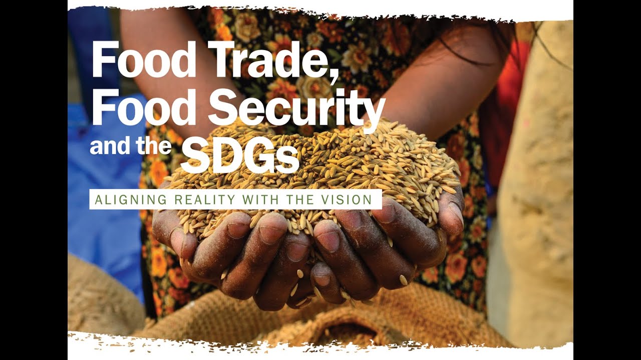 Food Trade, Food Security And The SDGs: UNRISD Seminar - YouTube