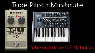 TC Electronic Tube Pilot meets the Arturia Minibrute