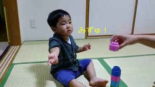 【3日目】2歳児 数字ゲーム