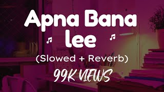 Apna Bana Le (Slow + Reverb) - Bhediya | Varun Dhawan, Kriti Sanon| Sachin-Jigar, Arijit Singh