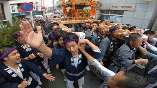 30年    　北澤八幡神社　例大祭　三年に一度の宮神輿立派な渡御　迫力満点。