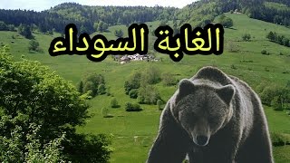 تعرف على الغابة السوداء أجمل مناطق ألمانيا