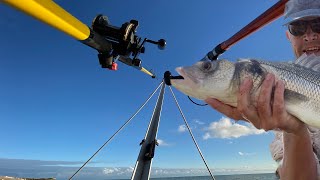 Beginners Guide to Sea Fishing