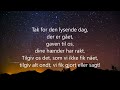 du som har tændt millioner af stjerner m. lyrics