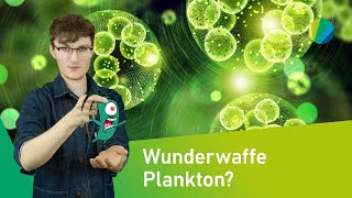 Plankton: Der CO2-fressende Superorganismus | green:screen