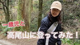 子供と一緒に高尾山に登ってきた！