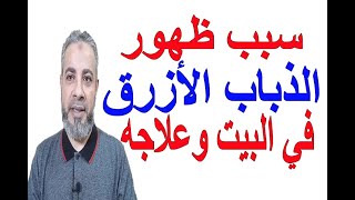 سبب ظهور الذباب الأزرق الكبير في البيت وعلاجه | اسماعيل الجعبيري