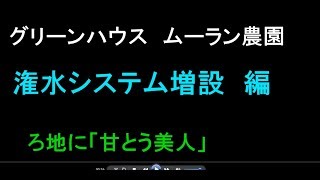 グリーンハウス栽培　潅水システム増設編