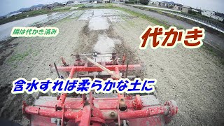 強引に代かき‼　　恐るべき水の力　田んぼの水の走りが悪く順々に含水して柔らかくなります