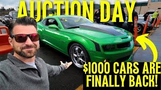 Can we buy a Clean Drive-able car for $1000 at a Dealer Auction ? - Flying Wheel