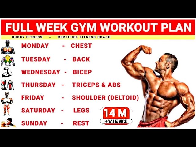 Weekly Workout Schedule For Men To Gain Muscle