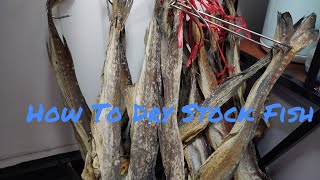 #Stockfish. How To Dry Stockfish.