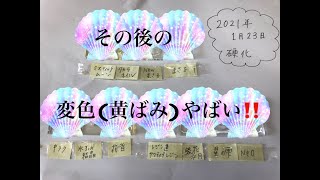 [resin]レジン519＊レジン液検証の3ヶ月後＊