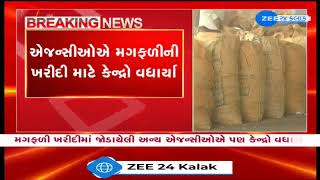 GUJCOMASOL increases number of centers for procuring groundnuts at MSP in Rajkot, Junagadh