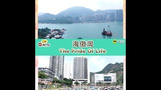 【Q-PETS特約 優質寵物樓盤巡禮：海傲灣】