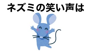 9割の人が知らないネズミの雑学