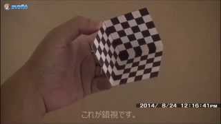 自由研究　錯視 2014 夏 / Optical Illusion