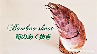 筍のあく抜き   Bamboo shoot