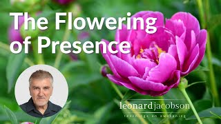 Essential Teachings: The Flowering of Presence