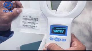 Pet Microchip Injection & Scanning Process | How Microchips Work for Dogs