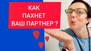 КАК ПАХНЕТ ПАРТНЕР?/О ЧЕМ ГОВОРИТ ЗАПАХ ПАРТНЁРА?