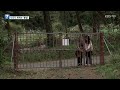 사유지에서 허락 없이 고사리 채취하면 ‘형사 처벌’ 주의 kbs 2024.04.15.