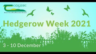 The state of Ireland’s hedgerows - Hedgerow Week 2021