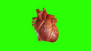 FREE HD Green Screen - BEATING HEART 3D FX