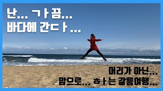 유튜버 친구들끼리 강릉여행을 가면 생기는 일 - 같은 강릉, 다른 영상