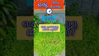 LSS/USS/PSC@GK ഒരു കാലുള്ള ജീവി ഏത്?