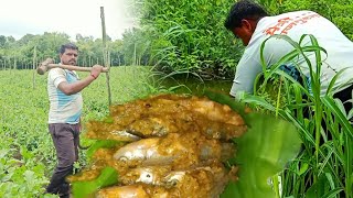 टोमॅटो च्या शेतातले काम उरकून ओढ्यामध्ये मासे पकडले आणि त्याची एक खुप चविष्ट रेसिपी बनवली