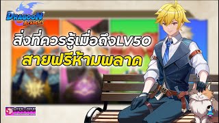 Dragoon Academy  | สิ่งที่คุณควรรู้เมื่อถึงLV50 ที่สายฟรีห้ามพลาด