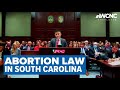 Arguments over SC abortion ban returns to state Supreme Court