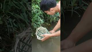 build bamboo baskets for catching fish