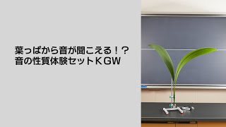 263【ケニス】葉っぱから音が聞こえる！？音の性質体験セットＫＧＷ