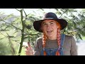 food forest fundamentals urban farming gardening australia