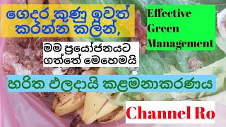 Reuse organic garbage ,කුණු ටික වීසි කරන්න කලින් ප්‍රයෝජනයට ගමු.