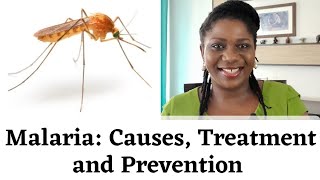 How To Treat Malaria at Home | Causes and Prevention of Malaria