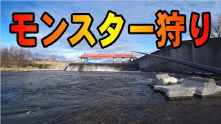 2024.11.20　ルアーマンが消えたメジャー河川　北海道十勝の釣り