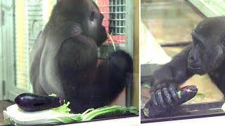 Gorilla Kintaro, a little boy, \