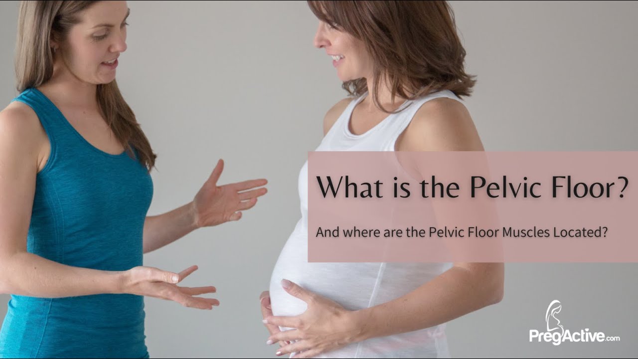 What Is The Pelvic Floor: Your Questions Answered! - YouTube