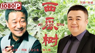 《#西瓜树》/ Xi Gua Shu 华鼎奖影帝王景春早期力作 精彩程度不输《地久天长》（王景春 / 周颖 / 宝宝龙 / 杨大鹏）