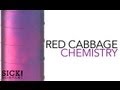 Red Cabbage Chemistry - Sick Science! #105