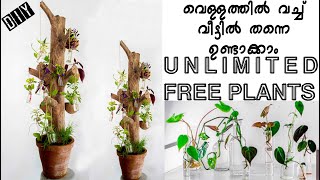 ചെടികൾ ഇനി പച്ച വെള്ളത്തിൽ ഉണ്ടാക്കാം | Unlimited free plants using vertical propagation station