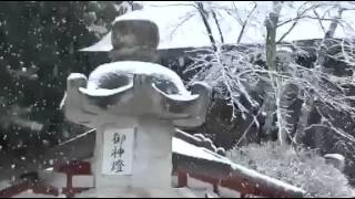 Visit temple in Yamanashi with Hanshi Oishi Daigo, 9th Dan. World So-Kyokushin