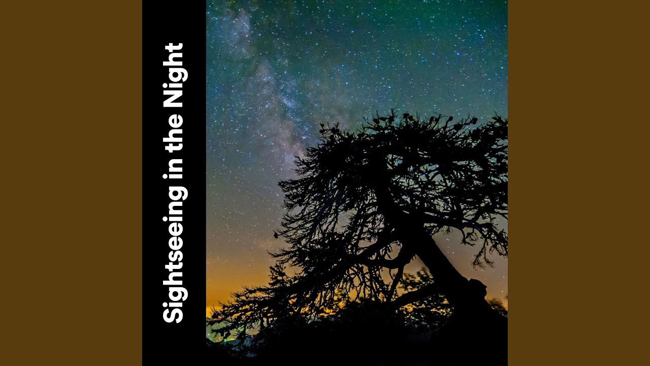 Natural Forest Sound Youtube Music