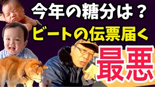 最悪！今年の糖分は？【ビートの伝票届く】