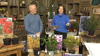 LIVE Gardening Bargains and your Questions Answered