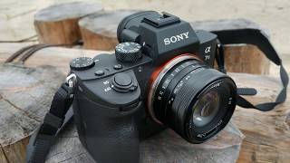 NEEWER 35mm F1.2 Lens with SONY A7III - ソニー α7IIIと中国製格安レンズで撮影した写真