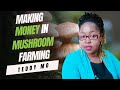 [PROMO]Teddy Mo's journey into turning mushroom business into a money maker